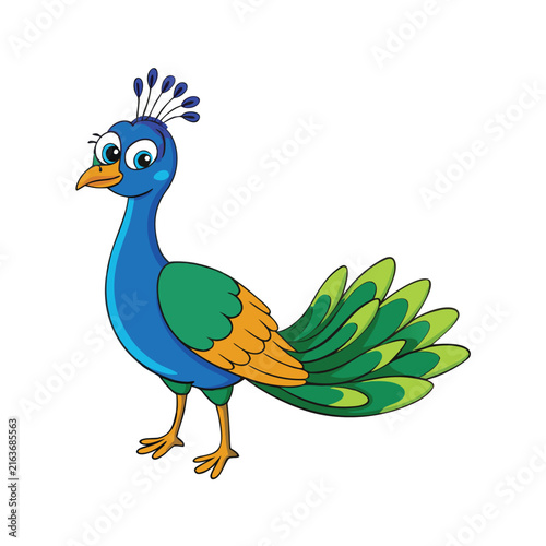 Cute peacock character vector illustration isolated on white background