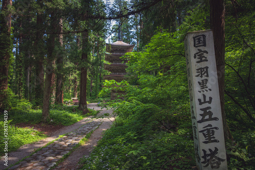 山形 羽黒神社 杉木立の中の国宝五重塔