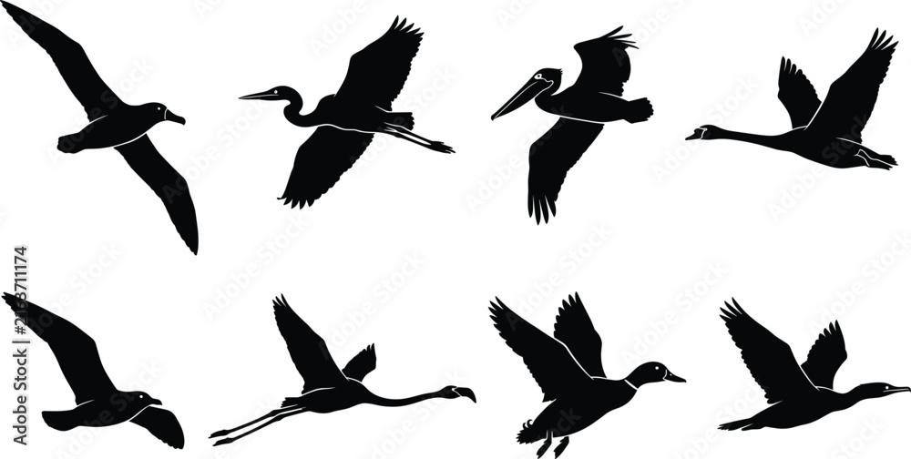 Naklejka premium Vector silhouette collection of various flying water birds including heron pelican flamingo swan and duck for nature design projects
