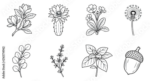 Minimalist botanical line art set, 8 hand-drawn floral icons. Black and white nature illustrations for branding and wedding stationery.