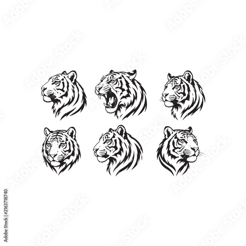 Fierce Tiger Heads