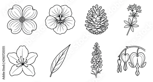 Vintage botanical line art collection, 8 floral vector icons. Hand drawn wildflower sketches, black and white garden plant illustrations.