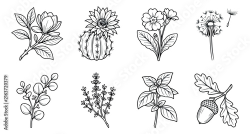 Hand-drawn botanical line art set, 8 floral and herb vector illustrations, black and white garden plant sketches for branding