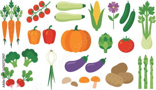 Fresh vegetables vector illustration set featuring a colorful variety of harvest produce like carrots, tomatoes, peppers, broccoli, corn, and eggplant on a white background
