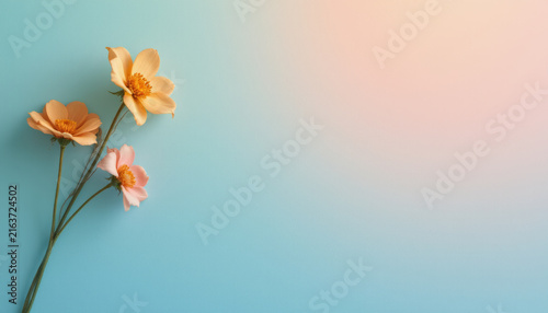 Soft pastel flowers with delicate petals on blue background create calm and gentle atmosphere perfect for minimalist design
