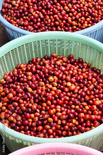 Fresh coffee bean in basket
