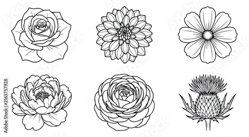Minimalist botanical line art, set of 6 floral vector icons. Hand drawn flower sketches including rose, peony, and dahlia for wedding stationery.