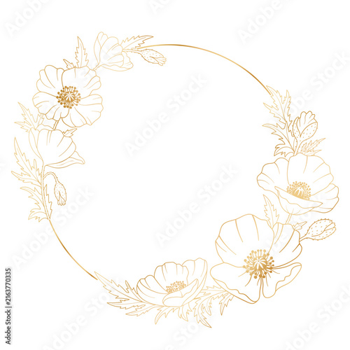 Golden round frame with poppies. Vector illustration in a botanical style on a white background. Hand-drawn vector illustration for your design.