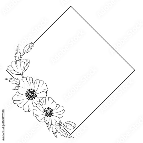 Black square frame with poppies. Vector illustration in a botanical style on a white background. Hand-drawn vector illustration for your design.