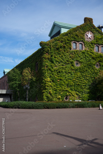 蔦に覆われた煉瓦の建物