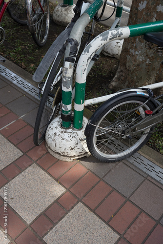 道路わきの木とガードレール
