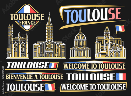 Vector set for Toulouse