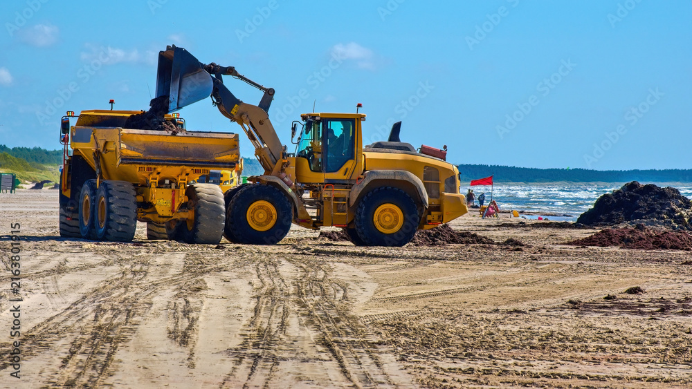Fototapeta premium Wheel loader loading dark sand or seaweed into a heavy articulated dump truck on a sandy beach. Coastal engineering, beach cleaning and shore restoration work.