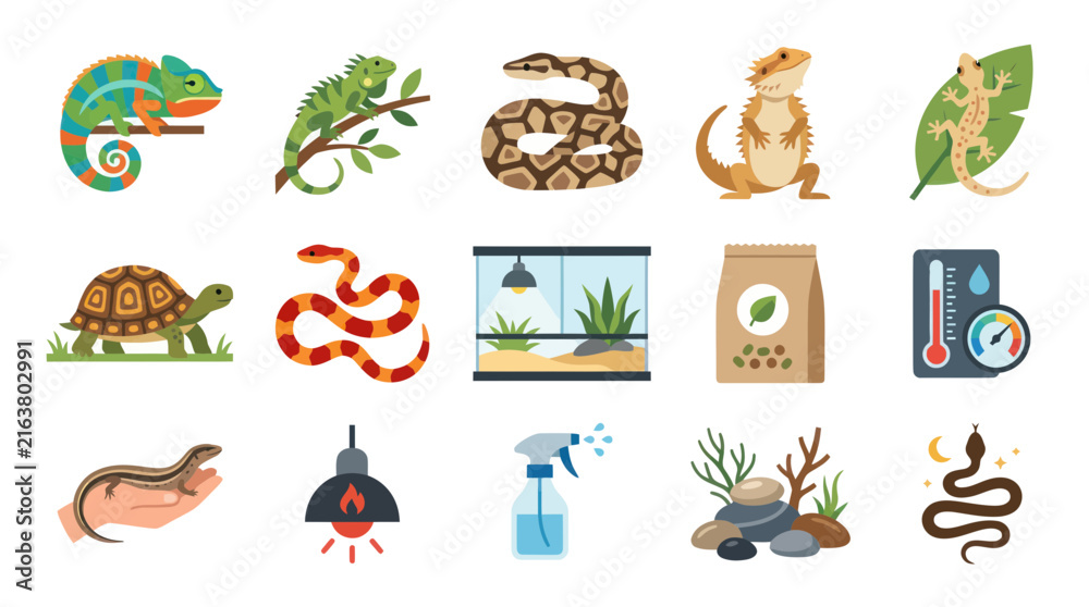 Fototapeta premium Reptile Pet Care Flat Vector Icons Set with Animals, Terrarium, Food, and Supplies