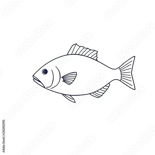 Simple outline drawing of a fish isolated on white background, swimming, || aquatic