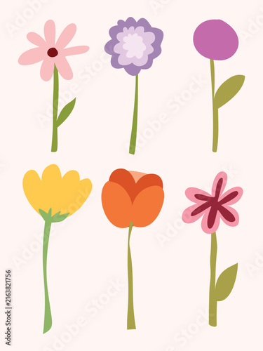 Hand Drawn Flower Set with Colorful Botanical Blooms and Floral Decorative Elements