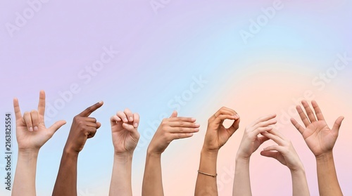Global Sign Language Communication and Accessibility Around the World