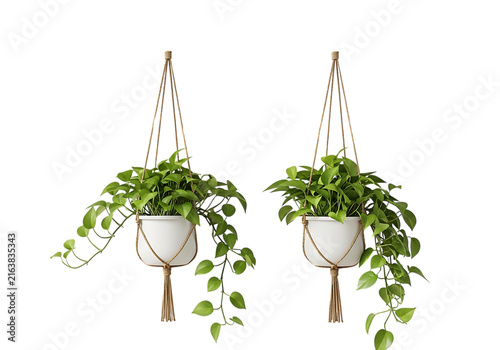 Two matching white hanging planters with green pothos vines in macrame holders, isolated on white.