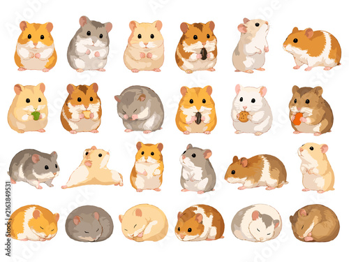 ハムスターの表情セットイラストコレクション
