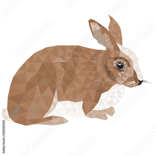 Bunny animal low-polygon outline vector illustration editable hand draw