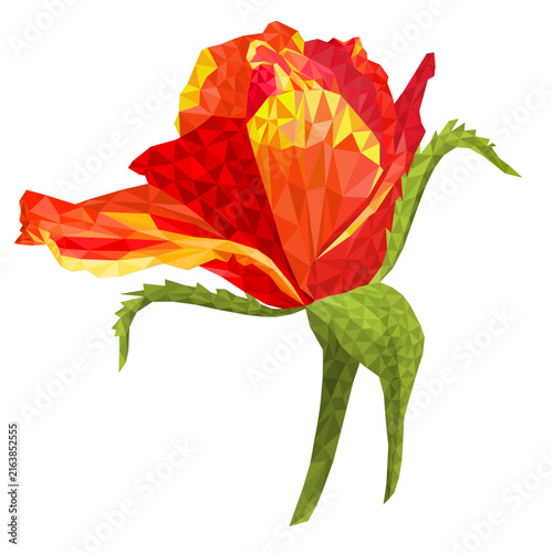 Flower orange rose low-polygon outline on a white background vector illustration editable hand draw