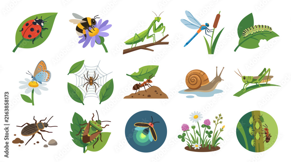 Obraz premium Flat Design Vector Illustration of Diverse Insects and Bugs in Nature