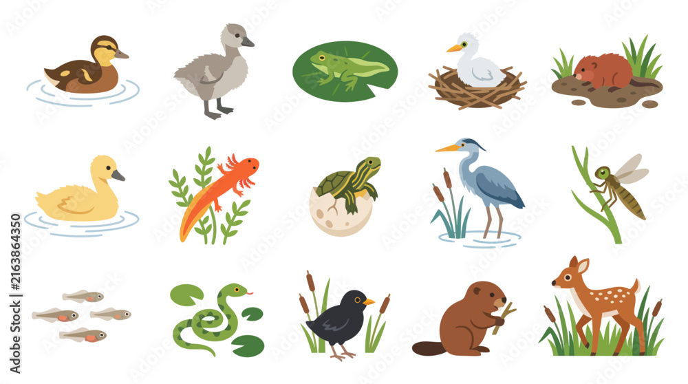 Obraz premium Cute Flat Style Animals and Insects in Pond Ecosystem Vector Set