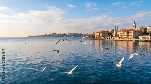 Seagull on Bosporus sky flying over blue sea with historic city skyline in background
