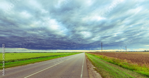 Принти на полотні Open road flanked by lush crops under brooding sky