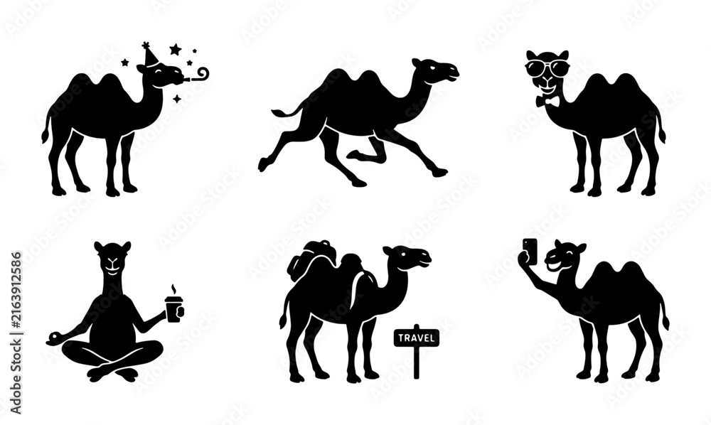 Fototapeta premium Dromedary Camel Silhouettes Collection: Festive, Yoga, Travel, and Selfie Poses, 6 Vector Icons Set for Desert and Safari Themes