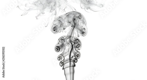 Abstract artistic smoke swirls on white background with smoke plume, abstract