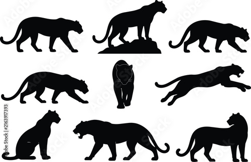 Foto Black Panther Silhouette Collection