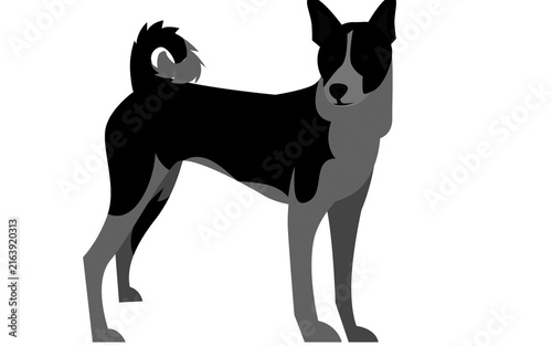 Obraz na plátně Flat vector illustration of black and gray dog breed