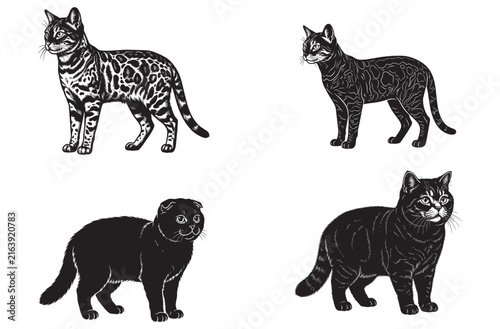 Artistic spotted cat vector set featuring detailed feline etchings for creative design projects animal breed studies or pet themed branding materials with realistic posture styles.