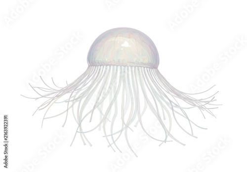 Iridescent jellyfish with delicate tentacles, isolated on transparent background isolated white background