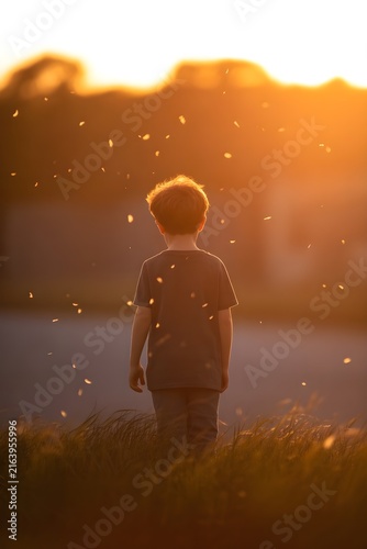 Niño pequeño de espaldas mirando un atardecer dorado rodeado de partículas de luz o polen en la naturaleza