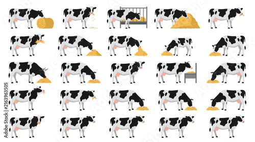 Set of cartoon cows in various poses eating hay and standing on a white background.