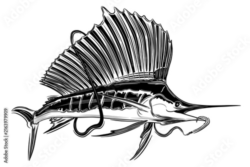 Hand drawn swordfish vector illustration in detailed black and white line art style, featuring a long pointed bill and tall dorsal fin, isolated artwork for marine life, fishing, seafood, ocean, and c