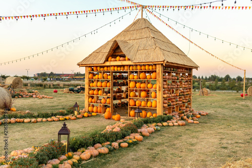 Foto Exterior wooden pumpkins hut with a thatched straw roof on an open farm field
