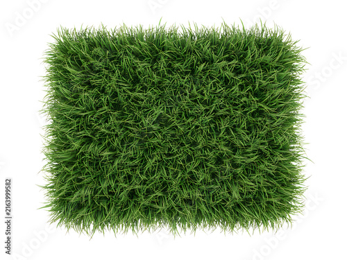 Realistic patch of green grass isolated on transparent background vibrant lawn texture for landscaping and environmental concepts