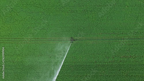 Agricultural center pivot irrigation system watering a lush green field from a top-down aerial perspective