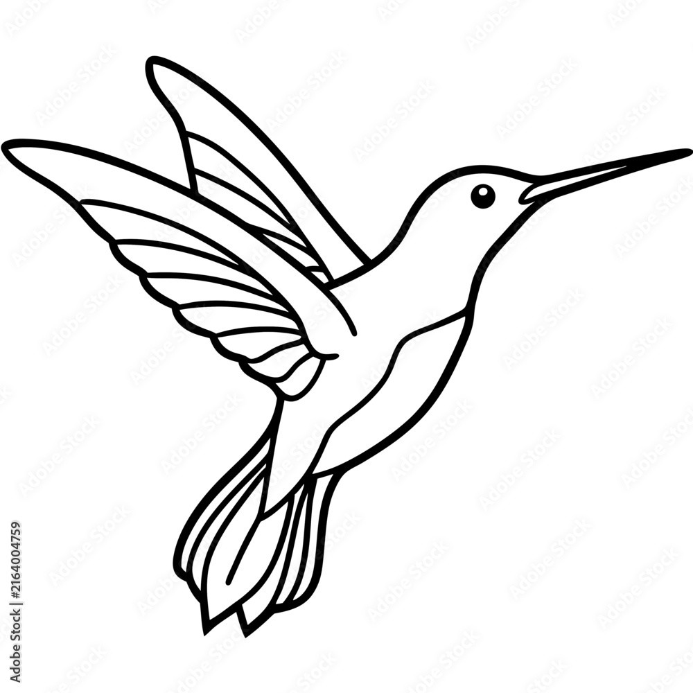 Fototapeta premium Hummingbird line art vector
