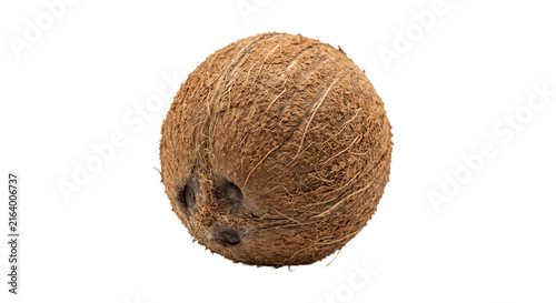 Foto Whole brown coconut with textured husk isolated on a clean white background