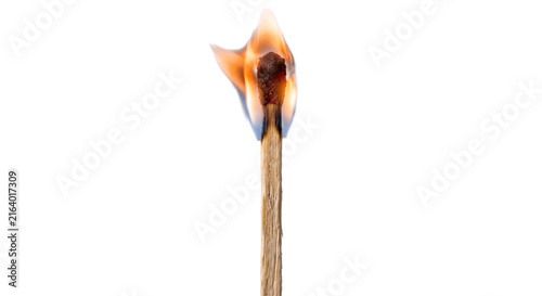Obraz na plátně Close-up of a single wooden matchstick burning with a bright orange flame