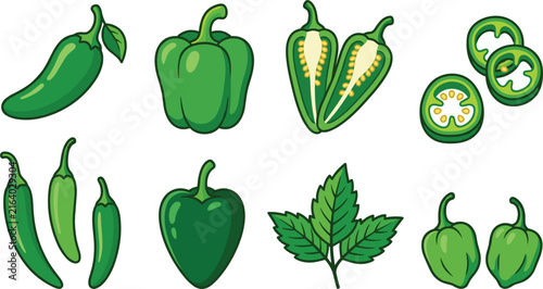 Foto Set of green pepper vector illustrations featuring jalapeño bell pepper chili ha