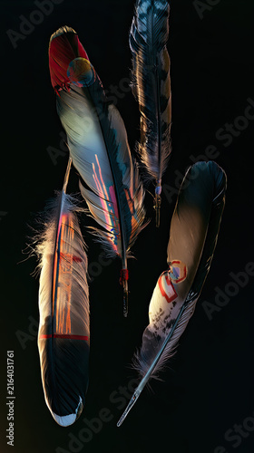 Vertical arrangement of colorful bird feathers on black background