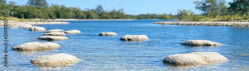 Coastal conservation environment with protected shoreline, mangrove vegetation, clear shallow water, natural rocks, coastal plants, habitat monitoring markers, and undisturbed ecological surroundings