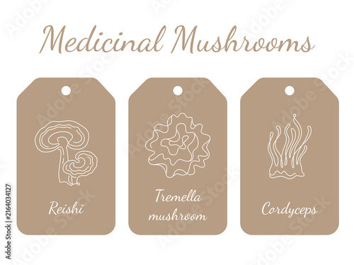 Medicinal Mushrooms Illustration with Reishi, Tremella, and Cordyceps on Tags
