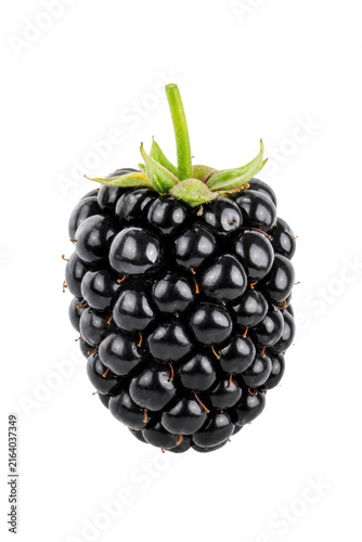 Fotografie One fresh ripe blackberry with a green stem and calyx, captured with bright stud