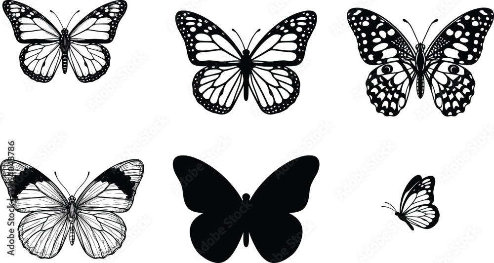 Fototapeta premium Butterfly silhouettes and detailed wing patterns for nature, spring, decorative, and educational design projects